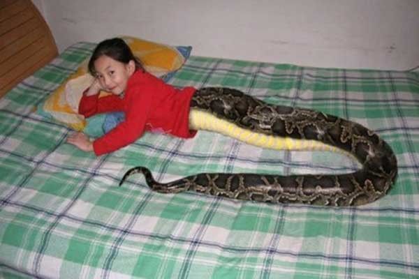 fille-serpent