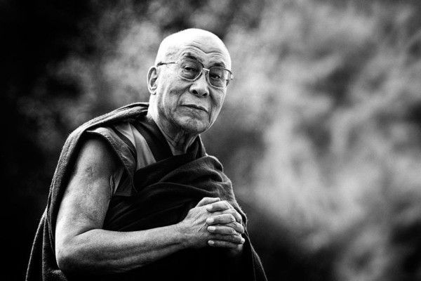 dalai dama