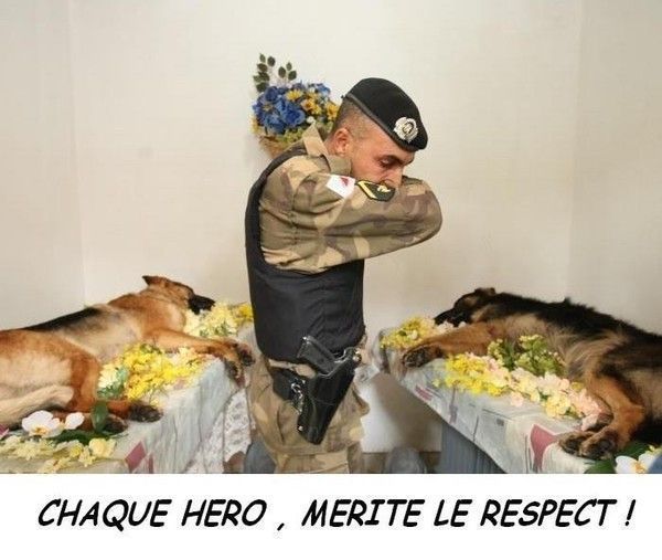 hommage et respect