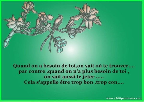 proverbe