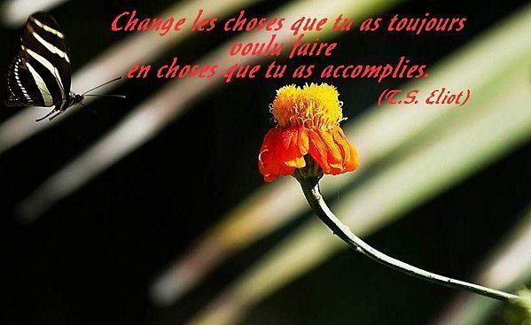 citation