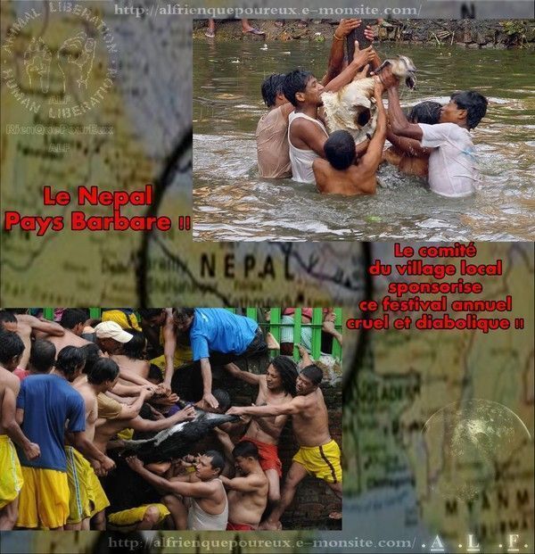 népal barbarie