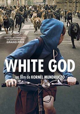  Fehér Isten / DIeu blanc 