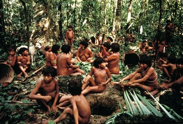 Les Yanomami, peuple de l'Orénoque
