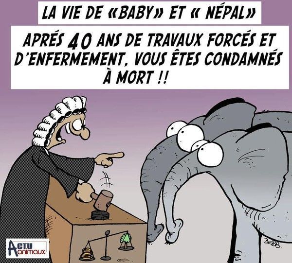 baby..népal