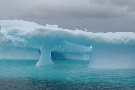 L'arche d'un iceberg