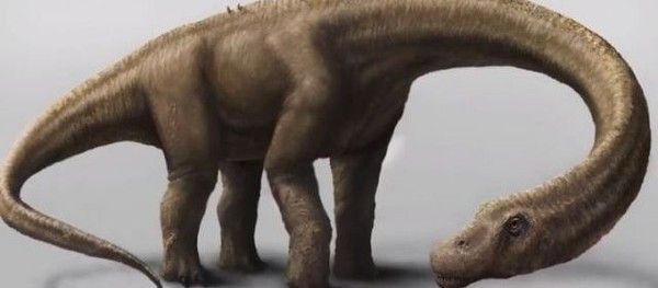découverte du plus grand dinosaure