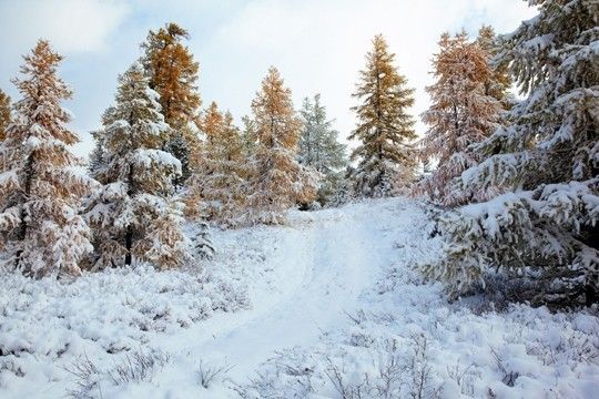 La zone habitée la plus froide au monde : la Sibérie