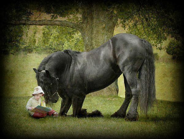 tendresse