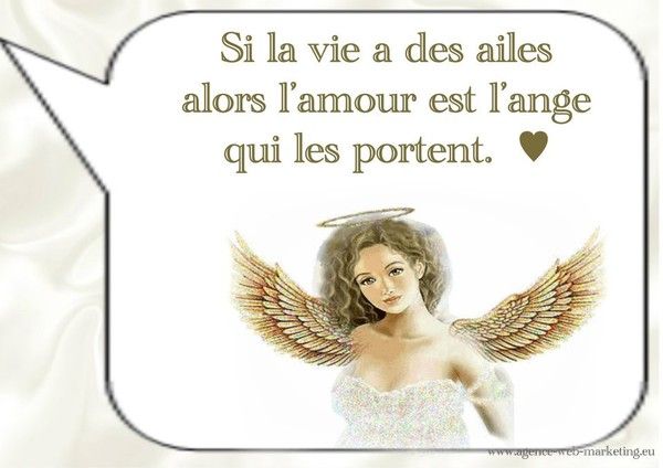 citation