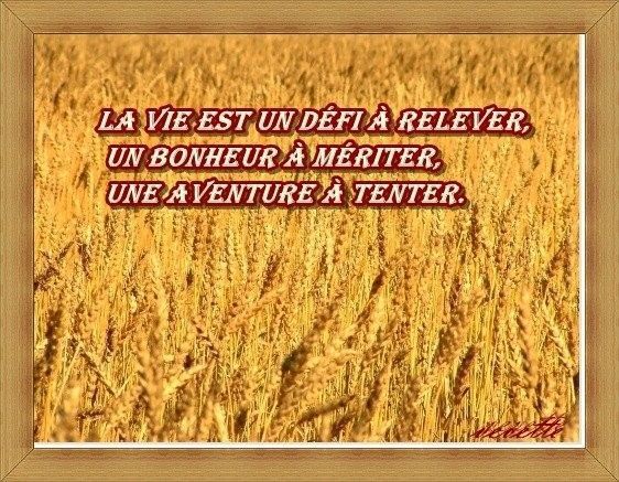 citation