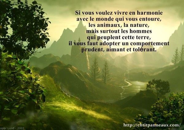 citation