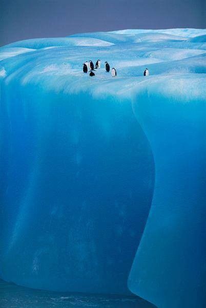 antartique