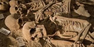 on a retrouvé 200 squelettes