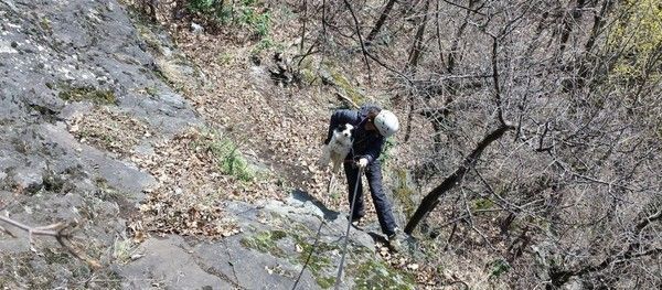sauvetage de 2 chiens « coincés » dans les Alpes