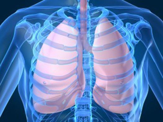 15 plantes qui peuvent stimuler la santé pulmonaire