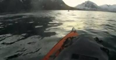 En Norvège, un kayakiste tombe nez à nez avec une baleine