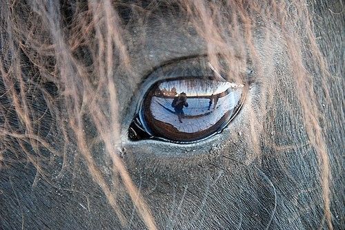 regard