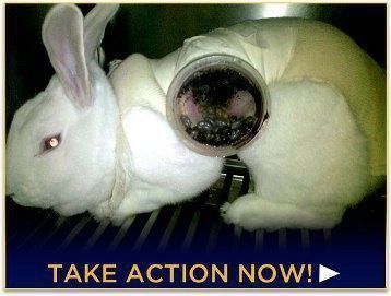 stop a la vivisection