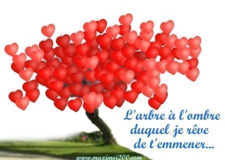 citation