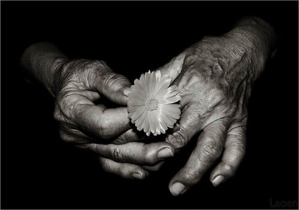 Deux mains, une fleur 