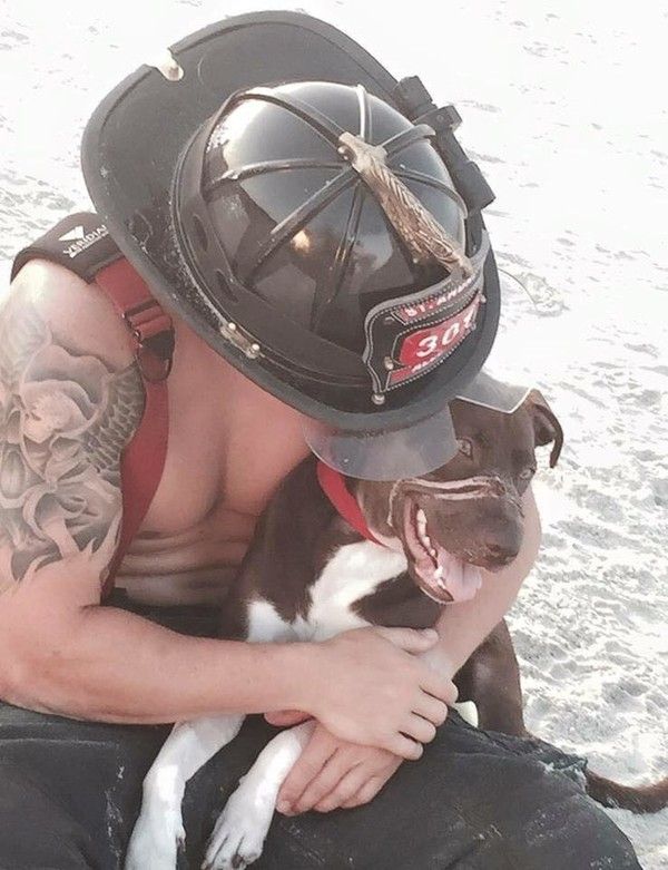 Caitlyn la chienne  pose avec de beaux pompiers