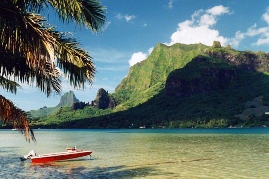 moorea