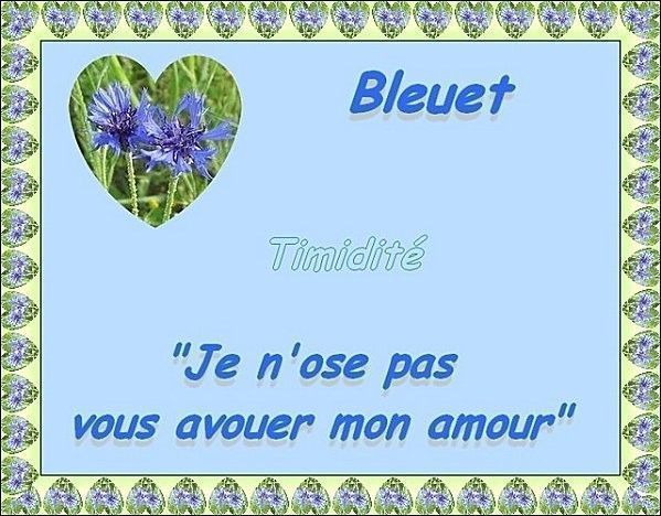 bleuet