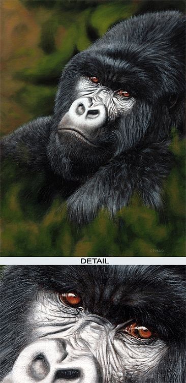 gorille