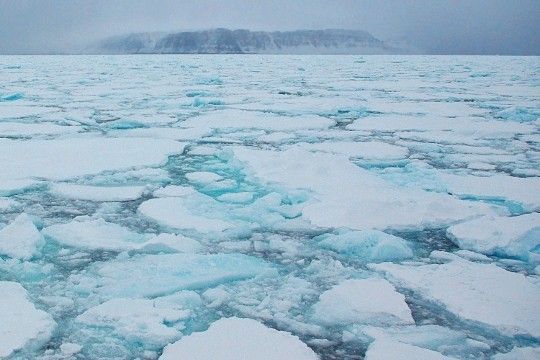 Fragments de glacier