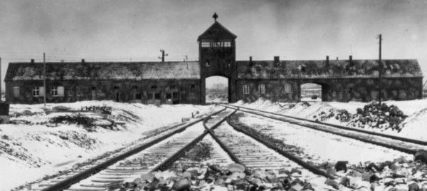 Auschwitz: la vérité