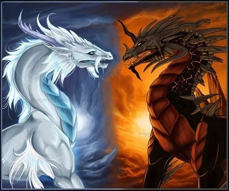 dragons