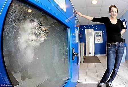 Il passe son chien à la machine à laver