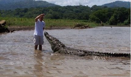 Il s’est fait déchiré les testicules par un crocodile