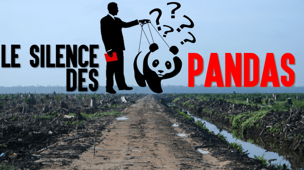 Le silence des pandas 