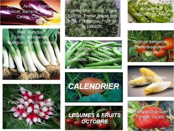 calendrier