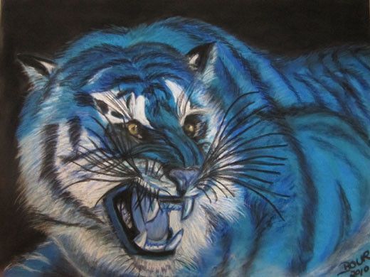 tigre