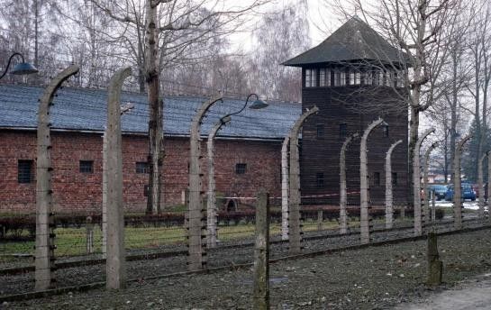 un ex-infirmier d'Auschwitz jugé apte à comparaître