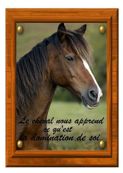 citation