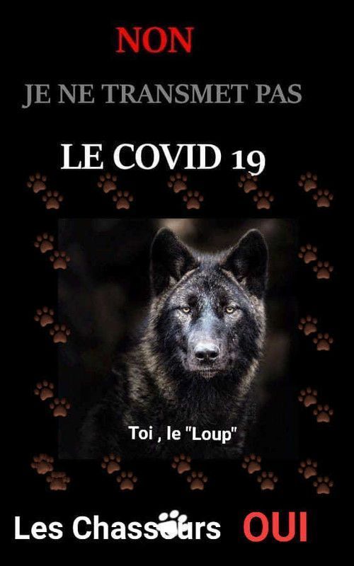 loups