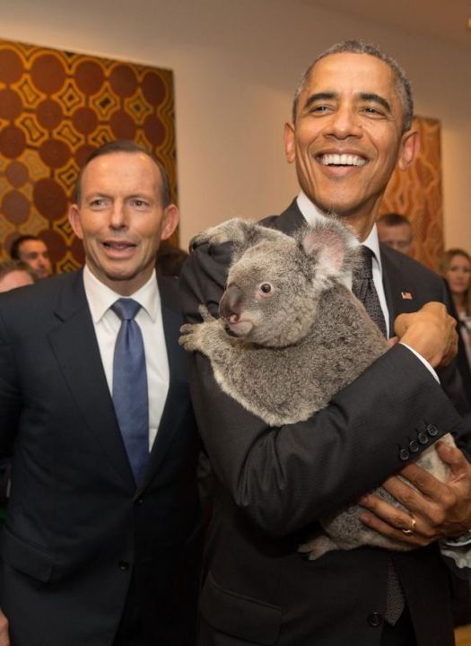 Obama craque pour le koala australien