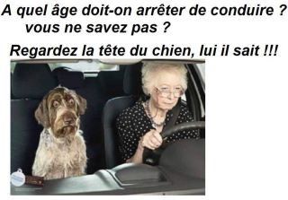 humour