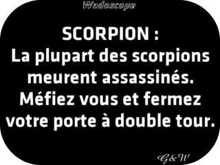 scorpion