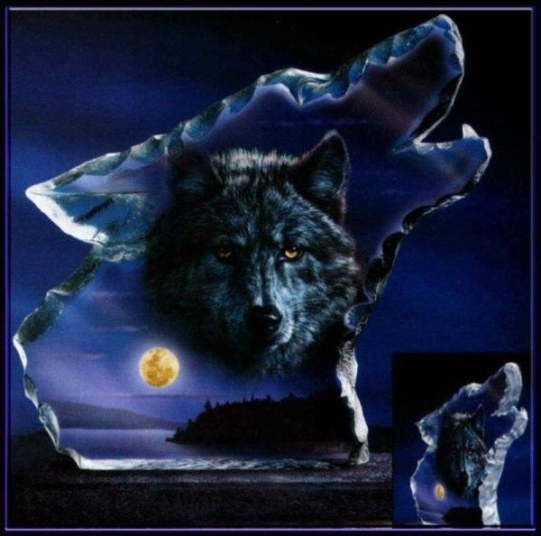 le loup