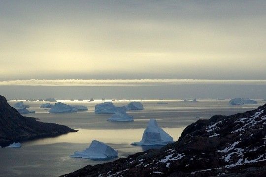 Une ribambelle de petits icebergs