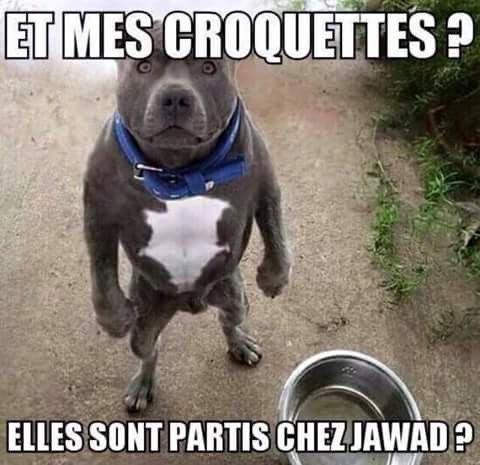 humour