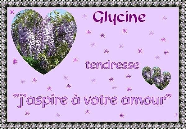 glycine