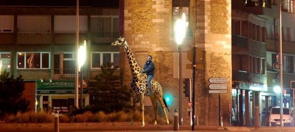 il emprunte une girafe du cirque
