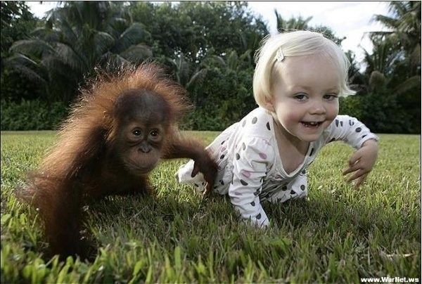 singe et enfant