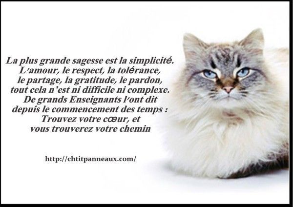 citation